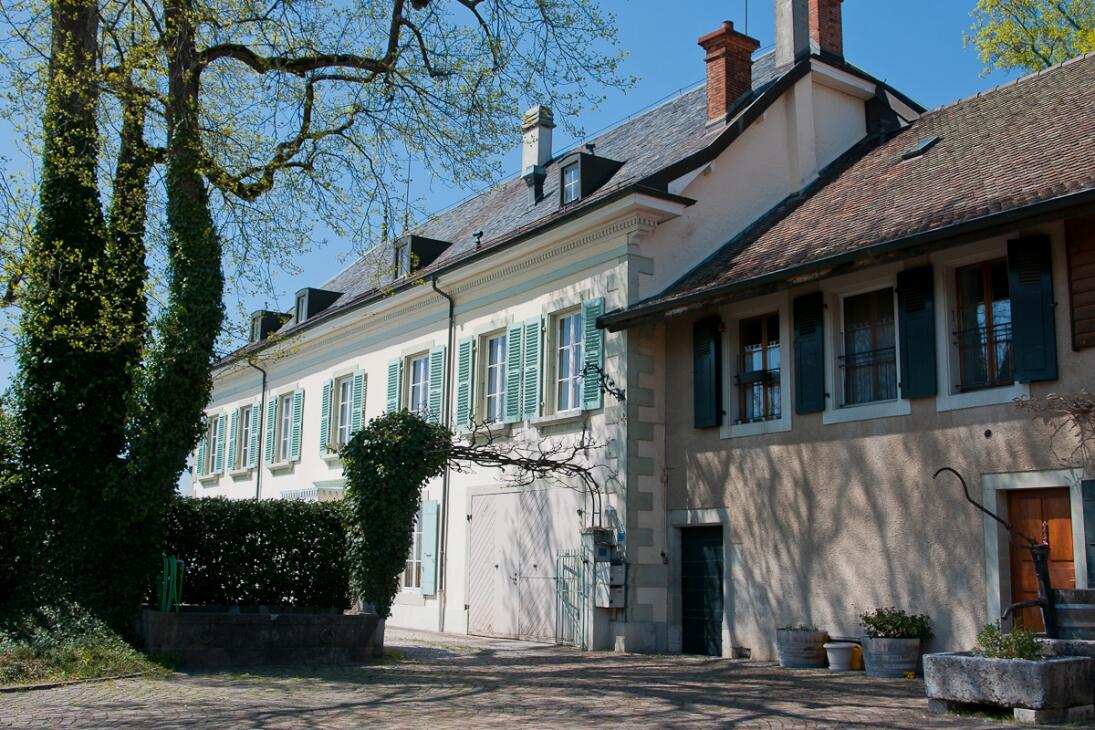 Die Weine aus dem Hause Bolle