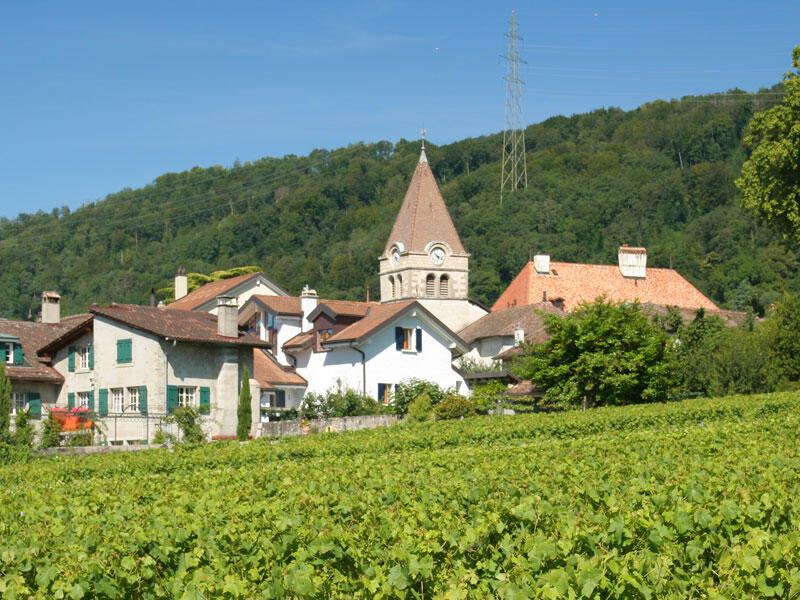 Die Kirche von Bursins