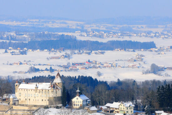 Schloss in Oron