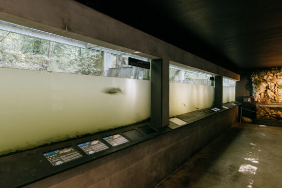 Haus des Flusses