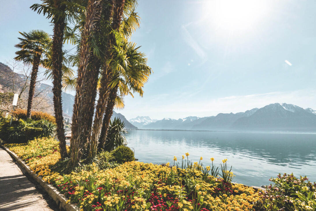 Die Uferpromenade von Montreux