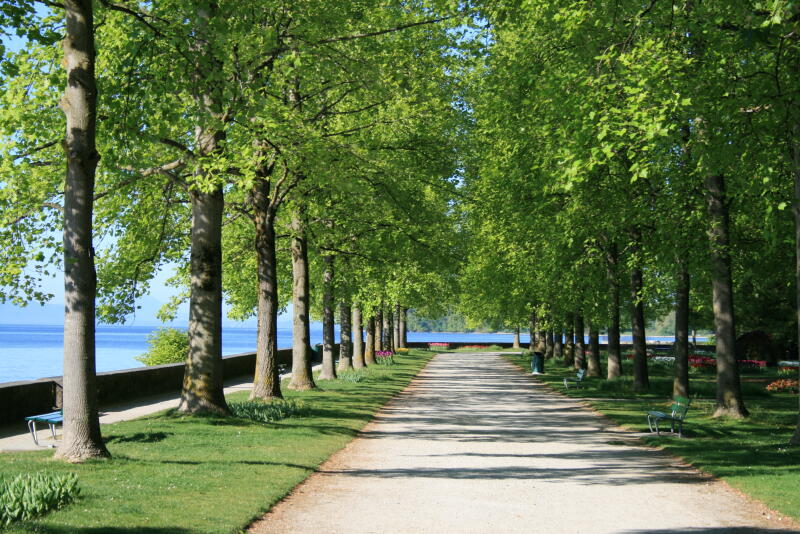 Parc Indépendance