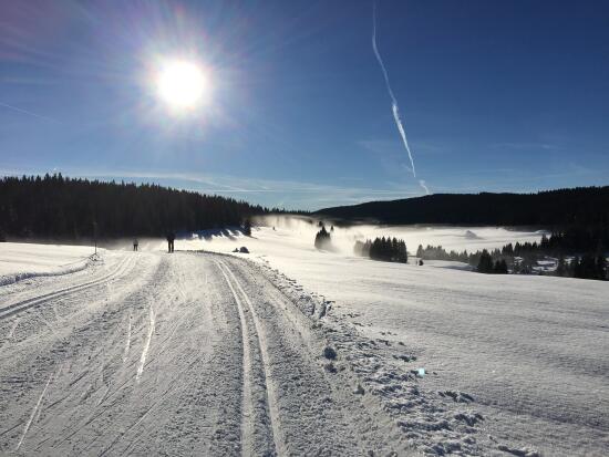 Ski de fond - Vallée de Joux