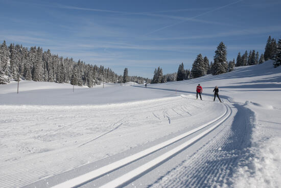 Ski de fond - Vallée de Joux