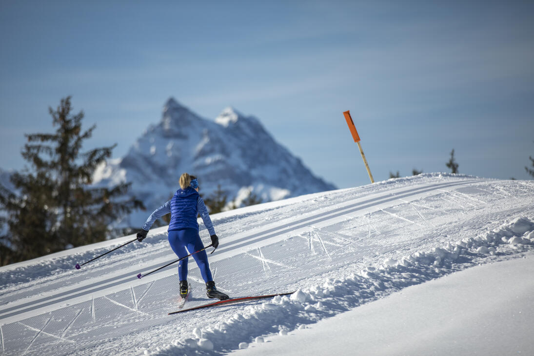 Cross-country skiing in the Villars-Gryon-les Diablerets-Bex region