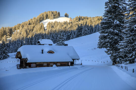 Cross-country skiing in the Villars-Gryon-les Diablerets-Bex region