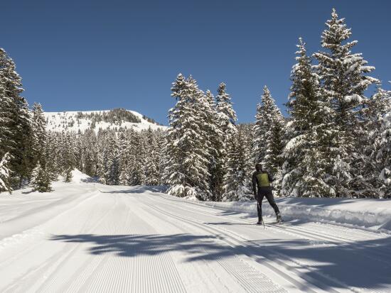 Cross-country skiing in the Villars-Gryon-les Diablerets-Bex region