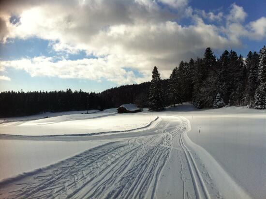 Ski de fond à Saint-Cergue et Saint-George