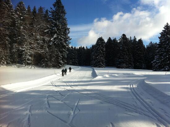 Ski de fond à Saint-Cergue et Saint-George