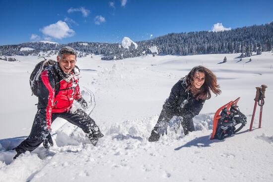 Raquettes à neige - Vallée de Joux