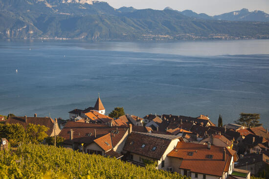 Cave Jacques et Aurélia Joly