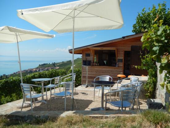 Domaine Bovy