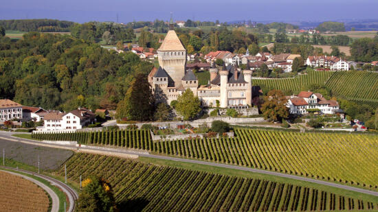 Château de Vufflens