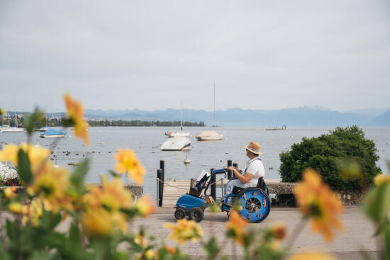 Fête du Dahlia_Mobilité réduite