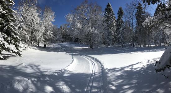 Nordic Sport - Col du Mollendruz