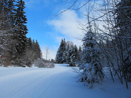 Nordic Sport - Col du Mollendruz