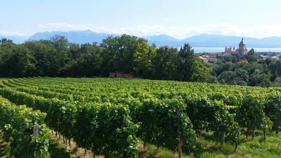 Le Domaine Les Tilleuls