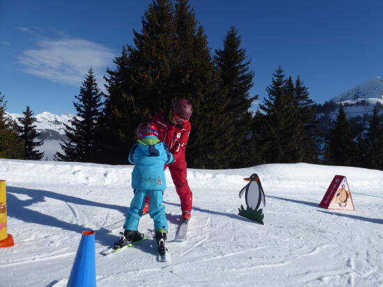 Poster ESS ski touring offer