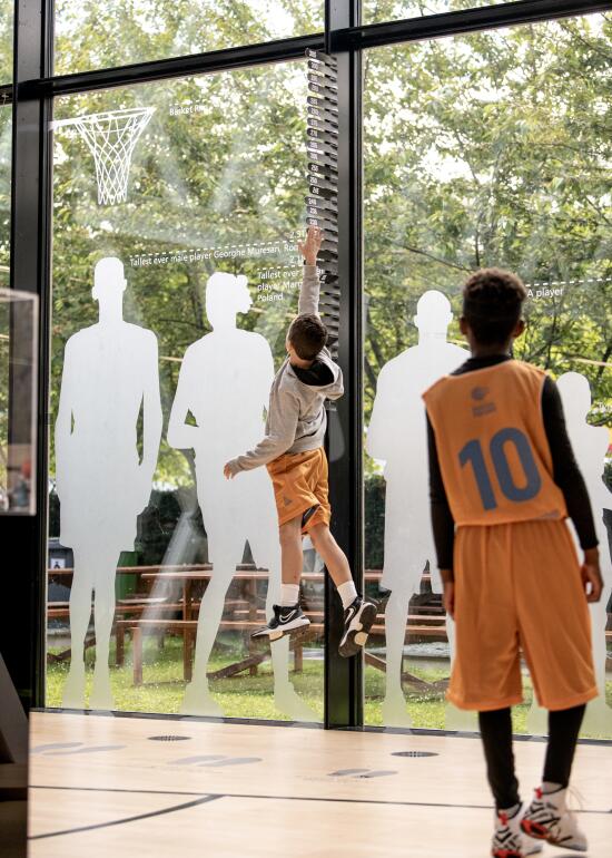 La Maison du Basketball- Patrick Baumann - Musée