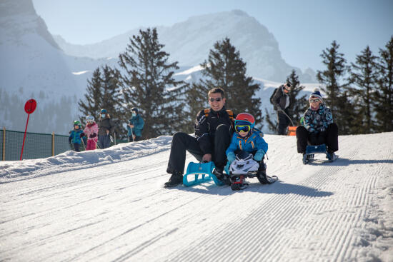 Pistes de luge de Frience