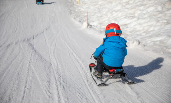Pistes de luge de Frience
