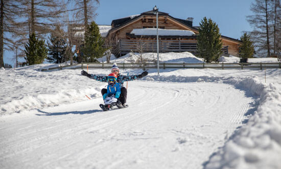 Pistes de luge de Frience