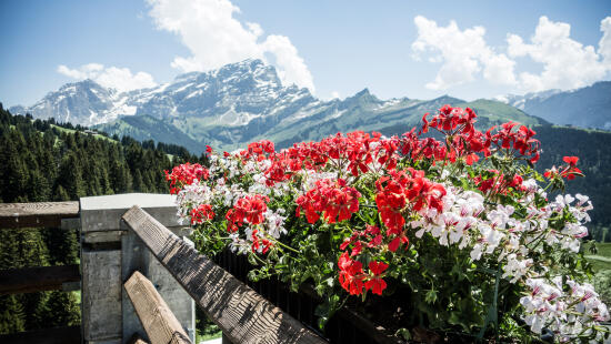 Restaurant du Golf Club Villars