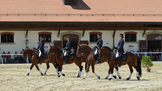 Swiss National Stud Farm