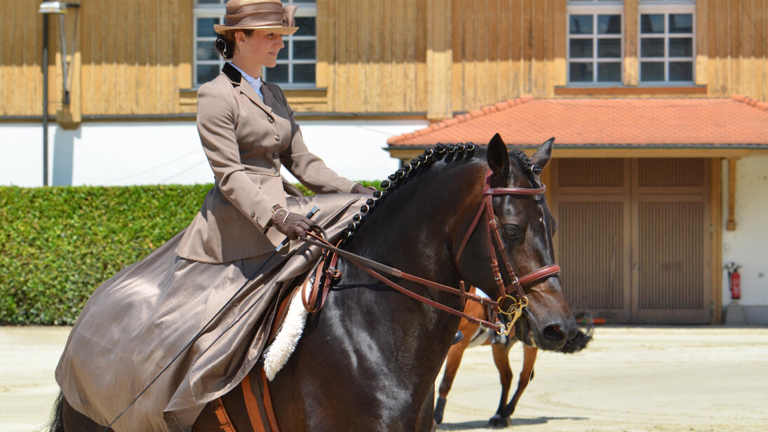 Swiss National Stud Farm