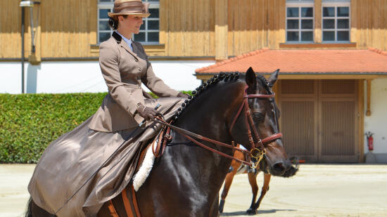 Swiss National Stud Farm