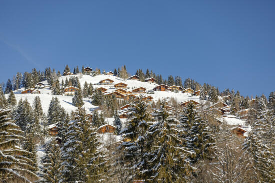 Maison du Tourisme de Gryon