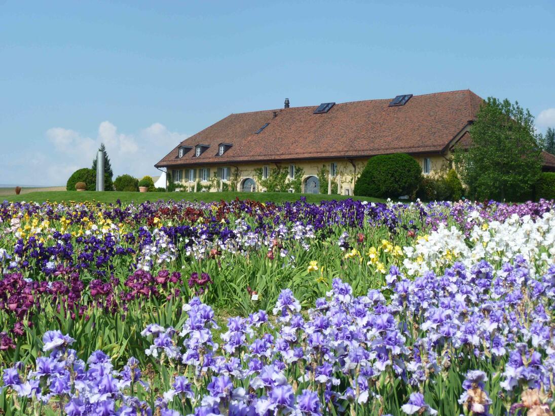 Les Portes des Iris à Vullierens