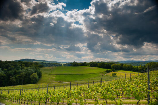 Commune de Saint-Livres