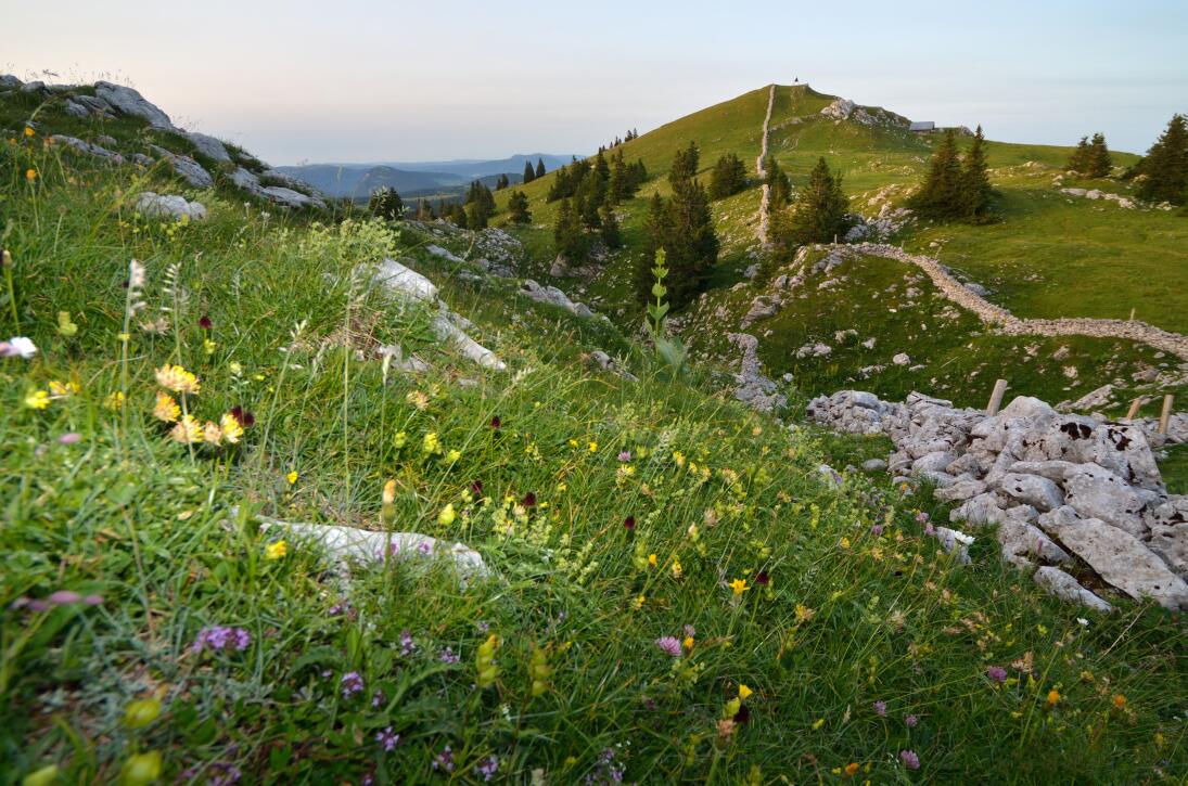 Le Mont Tendre