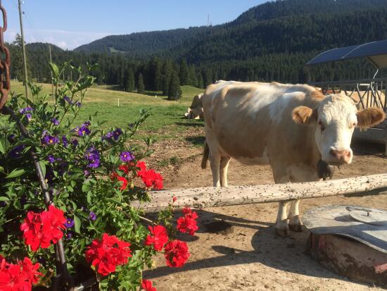 Restaurant de la Givrine