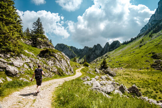 Les Rochers-de-Naye et la Dent de Jaman