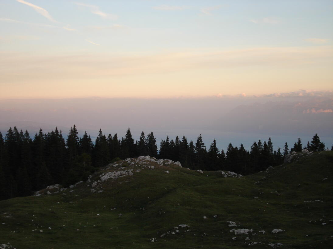 Buvette du Mont Tendre