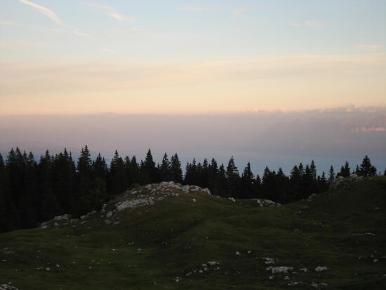 Buvette du Mont Tendre