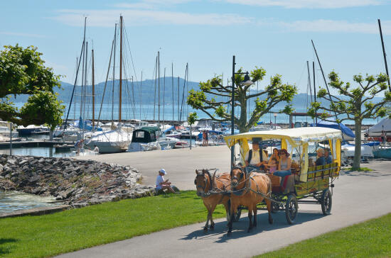 Balade en calèche avec Claude Jaggi