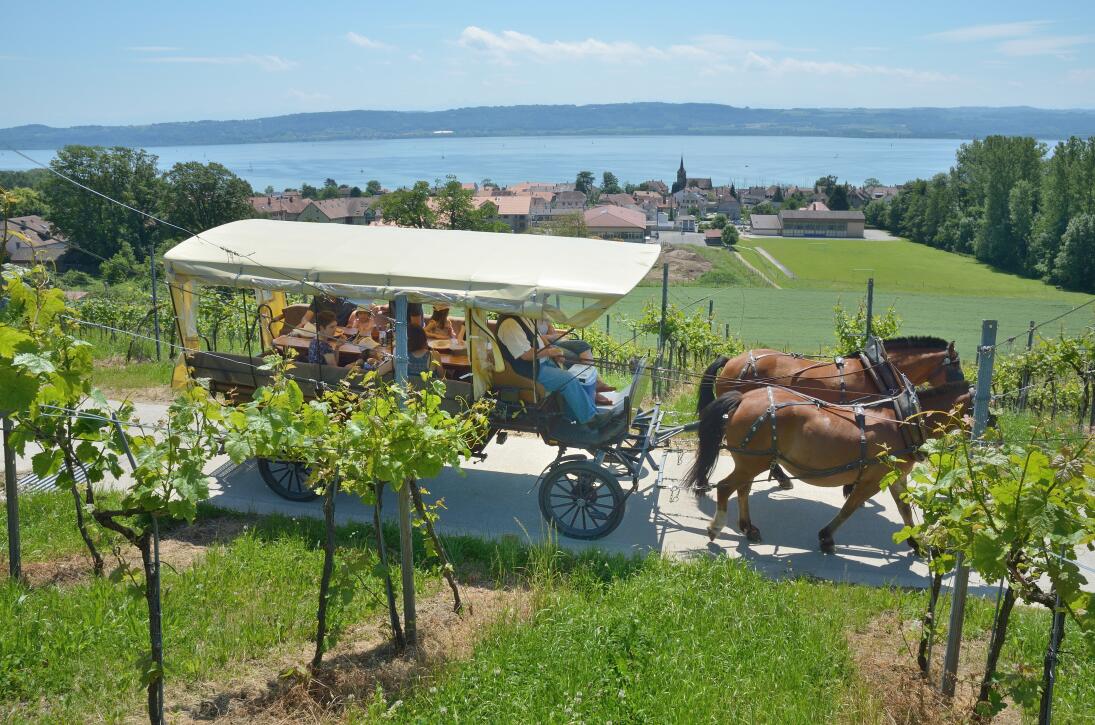 Balade en calèche avec Claude Jaggi