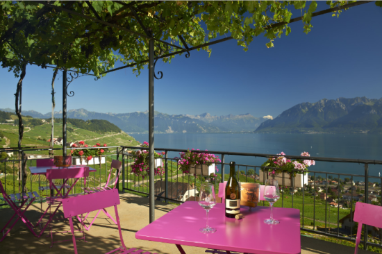 Domaine Croix-Duplex