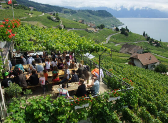 Domaine Croix-Duplex