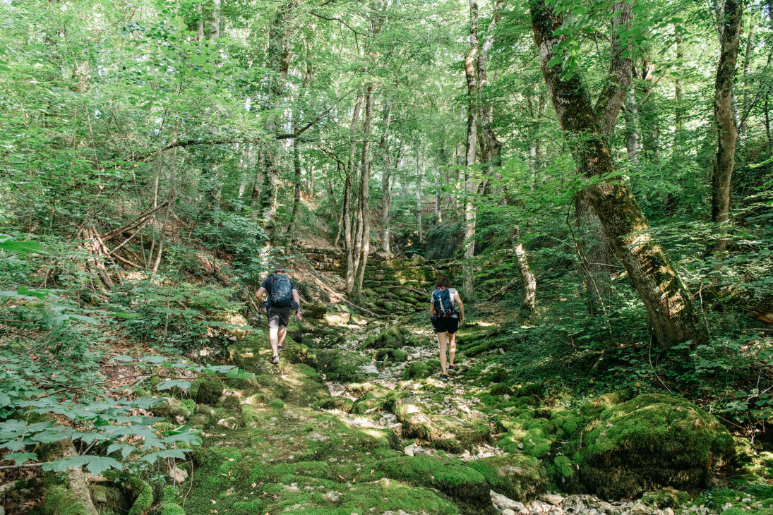 Les Sources de la Venoge
