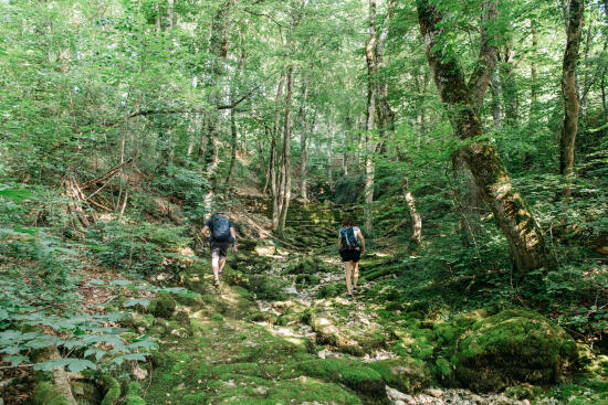Les Sources de la Venoge