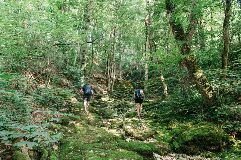 L'Isle - Sources de la Venoge
