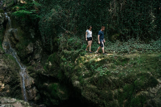 Les Sources de la Venoge