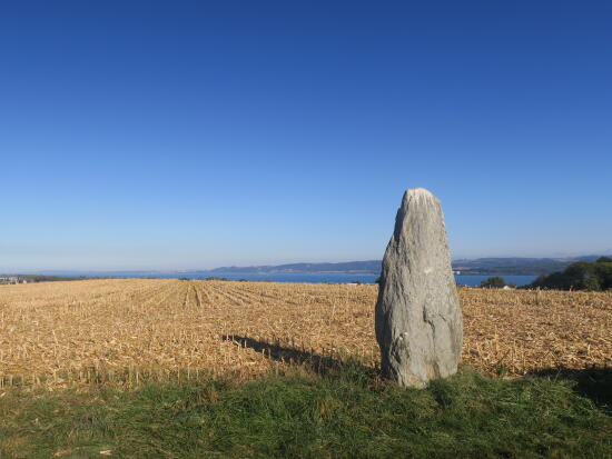 Menhire in der Region Grandson