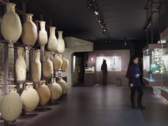 Museums Pass Nyon Region - Castles and Museums