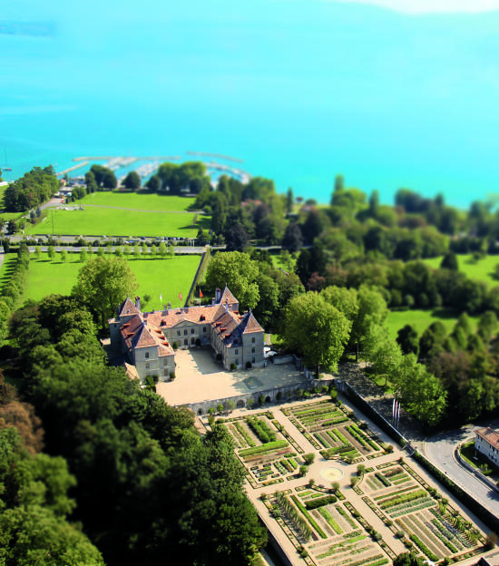 Museums Pass Nyon Region - Castles and Museums