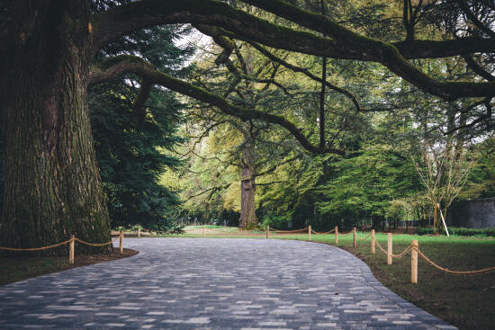 Chaplin's World by Grévin